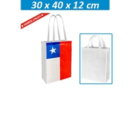 Bolsa Eco Bandera Congreso
CÓDIGO: CCE56	
Bolsa Ecológica "Bandera Congreso" en tela TNT, 100% reciclable y reutilizable. Formato apaisado. Incluye gráfica termolaminada de Bandera chilena por el anverso y por el reverso es 100% blanca, ideal para impresión de logo. Con 2 asas de 60cm. c/u aprox.
• Tamaño: 40 x 30 x 12 cm.
• Impresión: Serigrafía.